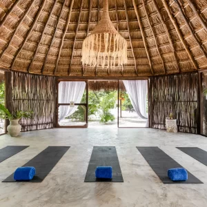 Palapa-for-yoga-and-workshops-scaled