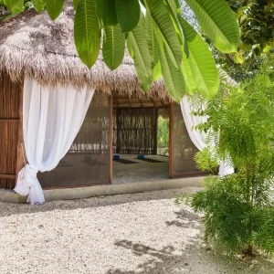 Palapa-for-yoga-and-workshops1-scaled